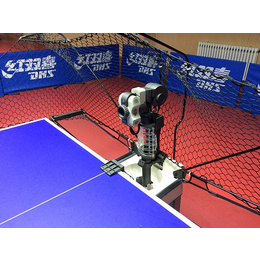 家用乒乓球机器人厂-双蛇体育(在线咨询)-吉林乒乓球机器人厂