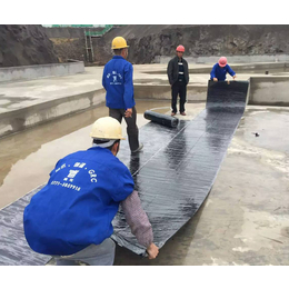 甘肃防水卷材-青龙家装防水代理-防水卷材哪家好