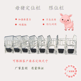 母猪产床*栏厂家定制 限位栏尺寸宽度 热镀锌母猪*栏