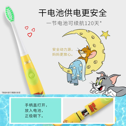 儿童电动牙刷批发-赛嘉电器(在线咨询)-儿童电动牙刷