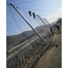 防护网规格-丽江防护网-护竣被动边坡防护网