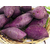 南阳紫薯苗电话-太胜红薯育苗-求购紫薯苗电话缩略图1