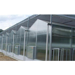建造阳光板温室厂家-建造阳光板温室-齐鑫温室玻璃大棚造价