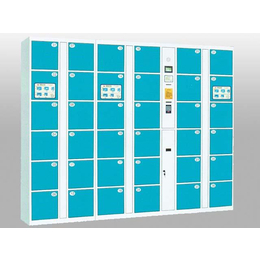 图书馆电子寄存柜-电子寄存柜-永昌办公密集柜(查看)