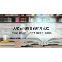 百度seo优化公司排名-东莞大朗优化公司-天助网全网营销