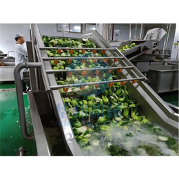 陕西蔬菜清洗机-华邦机械-气泡蔬菜清洗机生产
