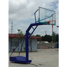 固定式篮球架厂家-永旺体育(在线咨询)-云浮市固定式篮球架
