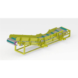 威海提升链板输送机-力能机械*企业-提升链板输送机厂家