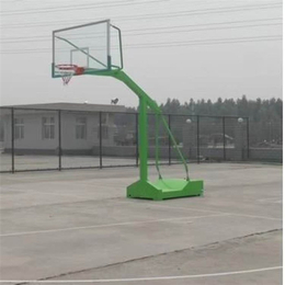 标准篮球架厂家*(图)-标准篮球架型号齐全-标准篮球架