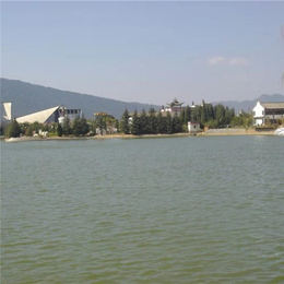 新乡景观湖水处理设备厂家订购-【国泉水处理】(图)