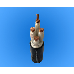 升通电缆-*-NH-YJV22耐火电缆-合肥耐火电缆