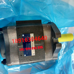 供应德国福伊特IPVP3-10-101齿轮泵