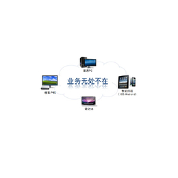 网络服务器虚拟化-北京金华博通有限公司-网络服务器虚拟化技术
