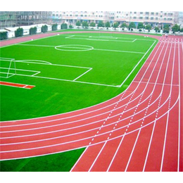 北京塑胶跑道-金达鑫体育设施工程-北京塑胶跑道价格