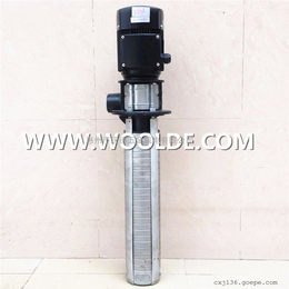 沃德立式液下循环泵YDL5-120不锈钢液下泵