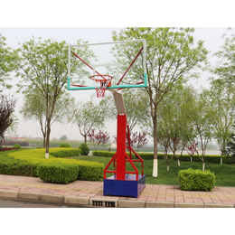 移动式篮球架 球场灯杆+球场画线一体化全包 南宁康奇体育缩略图