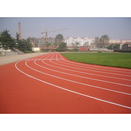 天津金康体育设施工程(图)-北京塑胶跑道价格-北京塑胶跑道