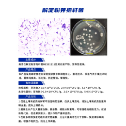 微生物菌剂报价-微生物菌剂-坤禾生物