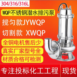 小型污水泵定制-东北三省小型污水泵-临泉泵业污水泵价格