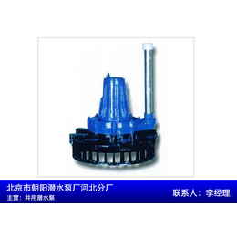 陕西小型污水泵-小型污水泵厂家*-朝阳潜水泵(推荐商家)