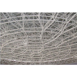 大跨度网构金属结构体加工-大跨度工程施工-山东三维钢构
