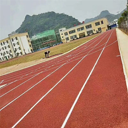 企业塑胶跑道厂家-赤坎区塑胶跑道-峰荣硅PU球场地面