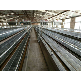 翔悦畜牧机械有限公司(图)-蛋鸡养殖设备报价-蛋鸡养殖设备