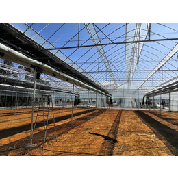 芒市钢结构温室大棚价格-光明温室大棚-钢结构温室大棚