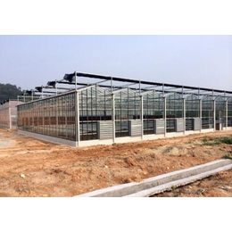 果洛玻璃温室-鑫华生态农业科技发展-玻璃温室报价