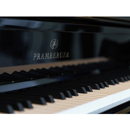 施坦威钢琴价位-蓝音乐器(在线咨询)-怀化施坦威钢琴