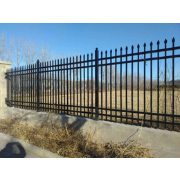 锌钢围栏厂家-滁州防护栏杆-绿化带防护栏杆