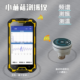 测量振动的传感器-振动传感器-青岛东方嘉仪厂家(查看)
