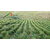 贵州山水贵客(图)-特色农产品经销-贵州特色农产品缩略图1