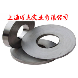 X2CrNiMoN25-7-4不锈钢板材 锻圆