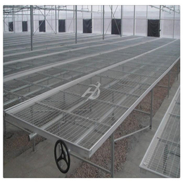 长方形温室苗床网结构 航迪移动苗床作用-优良厂家