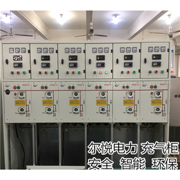 尔悦电力10kv全绝缘充气柜制造商定制GFS24-12充气柜