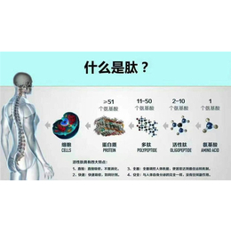 固体饮料代加工-郑州林诺(图)-河南果蔬酵素粉代加工