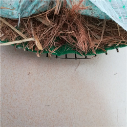 河道护坡固土绿化(图)-*椰丝生物毯-河南椰丝生物毯