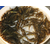 珠海黄骨鱼苗出售-滁州黄骨鱼苗出售-活泼水产实在缩略图1