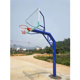 上栗县篮球架-永康体育设施(在线咨询)-篮球架