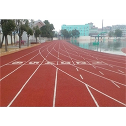 *体育设施公司(图)-塑胶跑道厂家-沧州塑胶跑道