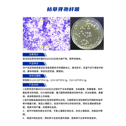 天津坤禾生物(图)-复合功能菌代理商-复合功能菌