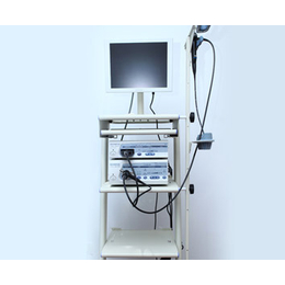 耳鼻喉内窥镜供应商-耳鼻喉内窥镜- 三丰医疗