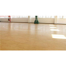室内网球*地板加盟-河南竞速体育-陕西室内网球*地板