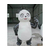 湖北匠鑫公司(图)-玻璃钢熊猫摆件公司-荆门玻璃钢熊猫摆件缩略图1