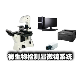 北京透射电子显微镜生产厂家-北京透射电子显微镜-老上光仪器