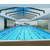钢结构拆装式游泳池工程-钢结构拆装式游泳池-智乐(查看)缩略图1