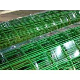散养鸡养殖铁丝网-青岛养殖铁丝网-超兴养殖铁丝网(图)