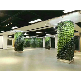 室外绿植隔断墙公司-美尚园艺*安装-临沧绿植隔断墙公司