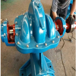 强盛水泵-贵州300S90双吸泵
